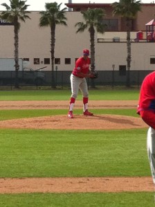Hollands in full stirrups