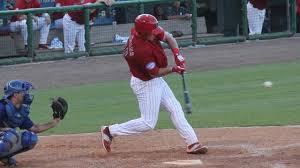 Hoskins swing