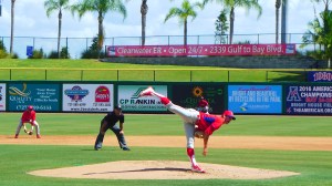 oct-12-2016-gowdy-and-the-pitch